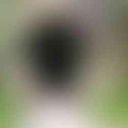 Karangahake gorge tunnel New Zealand