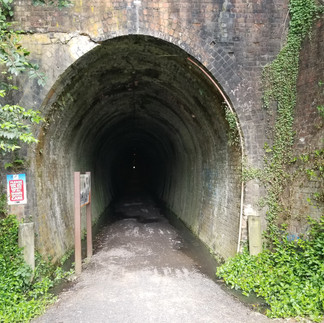 Karangahake gorge tunnel New Zealand