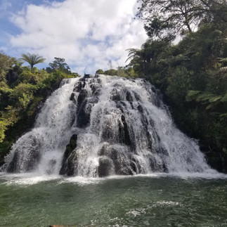 Karangahake gorge waterfalls New Zealand