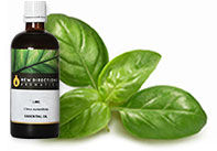 Basil Oil