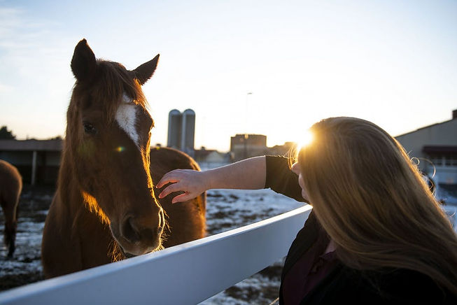 a3c5fda4-d603-4625-ba13-2e0d9e6cd8a7.siz