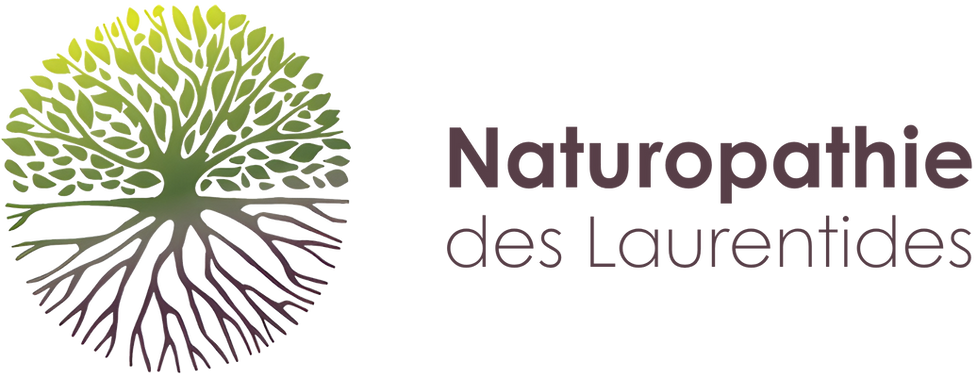 Création sans titre (4).png