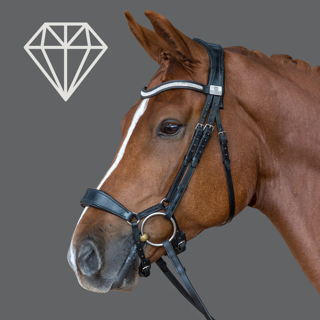 A brown horse wearing a black Fairfax Snaffle Bridle with a drop noseband decorated with a Swarovski crystal pearl browband.