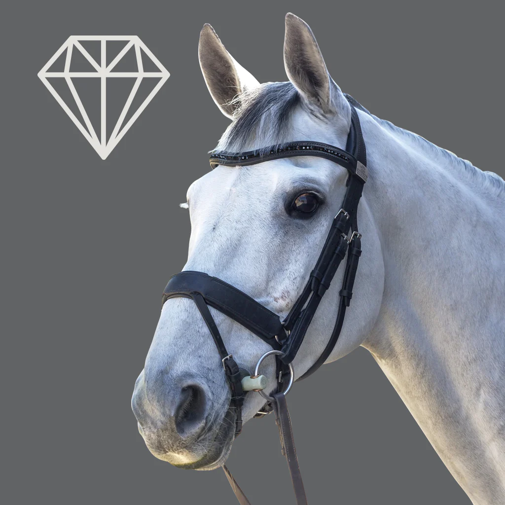 Bride Et Rênes Flexibles Anglaises Flash Snaffle - Marron Pleine Taille - Pour Cheval - Occasion Bon état