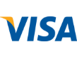 Visa Card Logo Mini