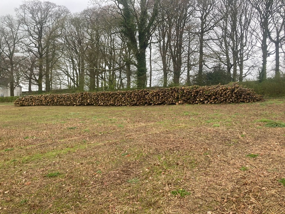A stack of Oak lumber in a field demonstrating the low impact nature of Andrew Coxhead's low impact forwarder and small scale forestry machinery.