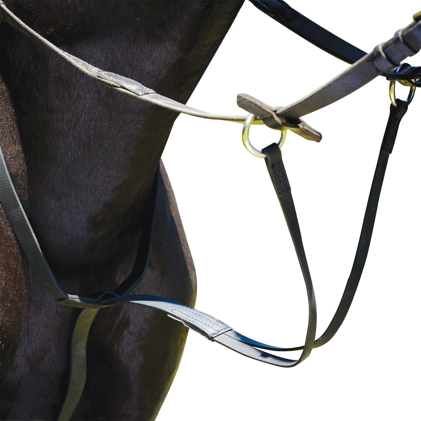 WINTEC RUNNING MARTINGALE Saddles Ireland