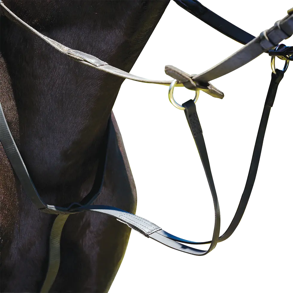 Thumbnail: WINTEC RUNNING MARTINGALE
