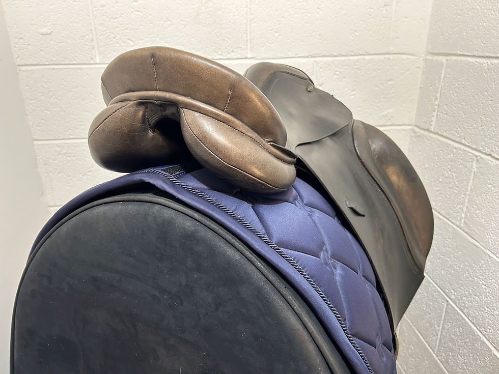 Thumbnail: USED SANTA CRUZ DRESSAGE 17.5-18" MW BLACK SADDLE