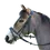 Thumbnail: Wintec Bridle With Hanoverian Noseband (Flash)