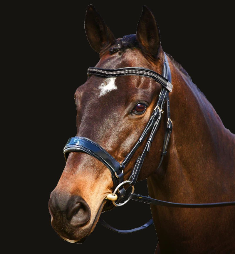 FAIRFAX PATENT SNAFFLE CAVESSON BRIDLE
