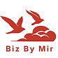 Biz_By_Mir_Logo (1)_edited_edited.jpg