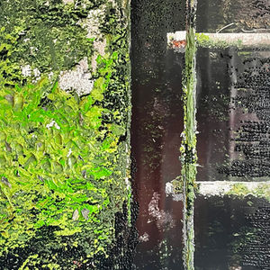 BETWEEN DOORS