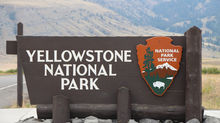 YELLOWSTONE