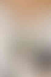 wood ceiling bold abstract wall  home design trends 2023