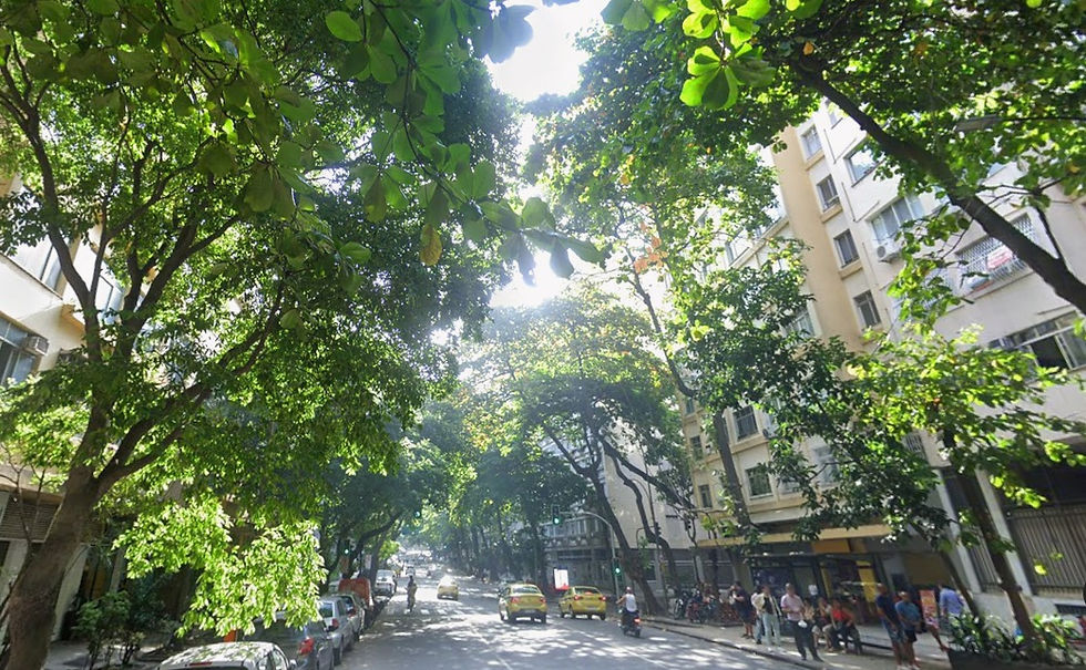 2 Vista da rua Figueiredo Magalhães