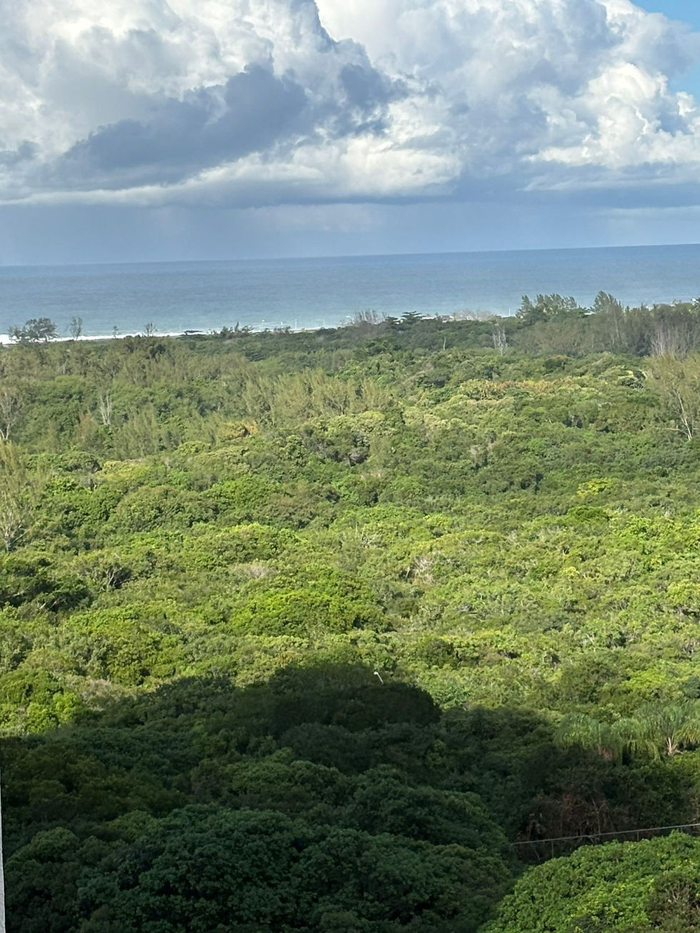 1 Vista mar