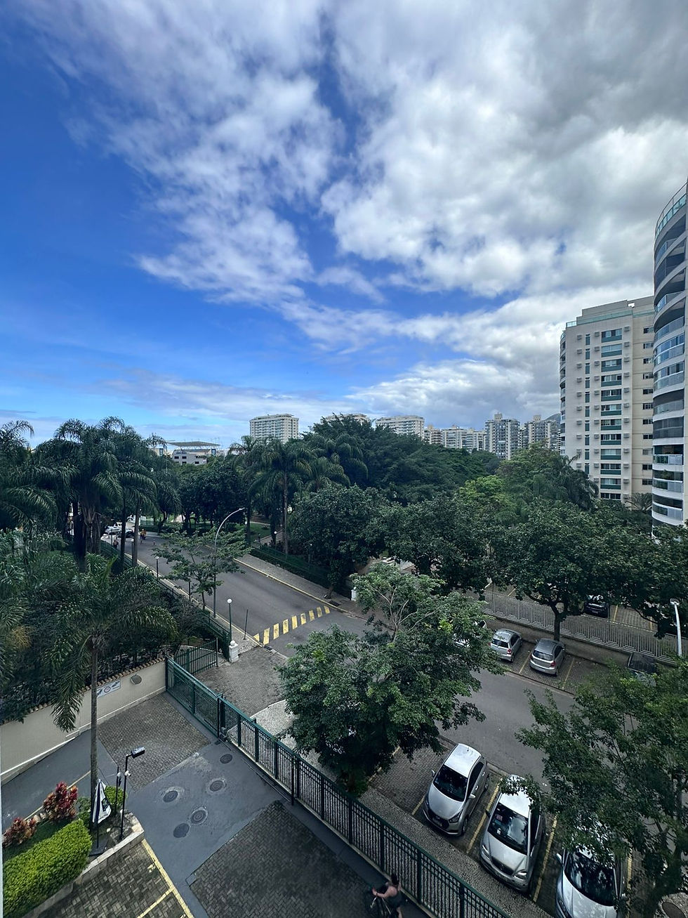12 Vista livre para o verde