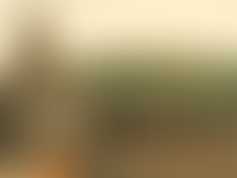 Complete Itinerary for a Bhimashankar Jyotirlinga Pilgrimage