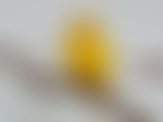 The Little Yellow Canary