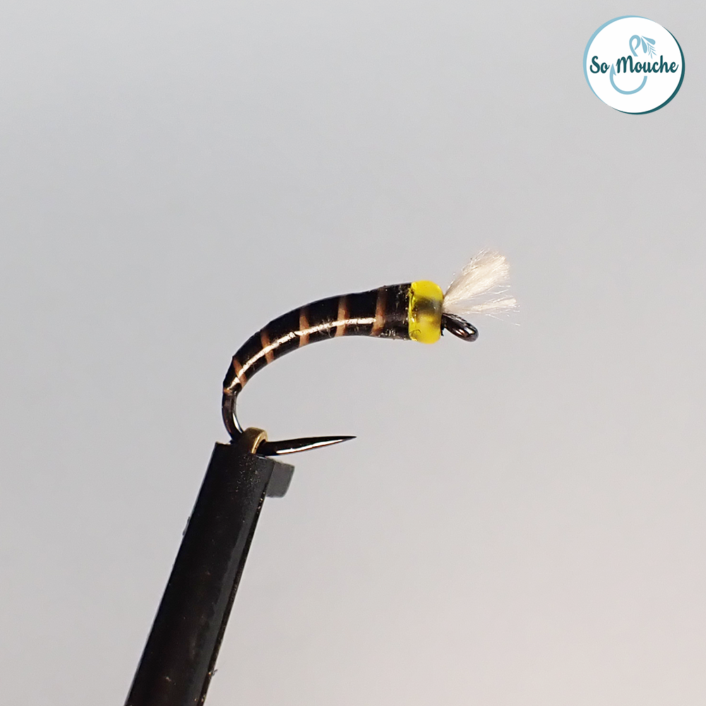 Chiro noir perle jaune toupet