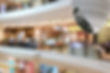 shutterstock_1635397513_edited.jpg
