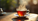 Blackbrew Tea Insights: All About Blackbrew Tea LLC
