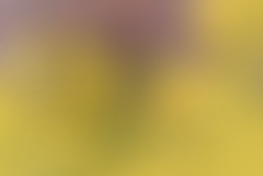 疲れ眼対策 20・20・20ルール