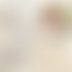 田原市・豊橋市・豊川市で大人のメガネ選び|2026年のメガネトレンド「ペールトーン」で季節を先取り