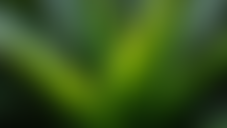 Thriving in the Shadows Discover the Secrets of Low-Light Indoor Gardening for Beginners