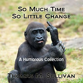 So Much Time So Little Change.jpg