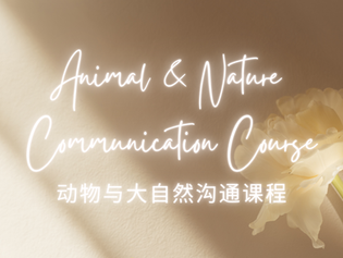 Animal & Nature Communication Intensive 動物與自然溝通密集課程