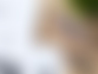 Know The Benefits of Choosing College Admissions Counseling Services: