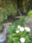 Waterfall in the garden La cascata negli ulivi