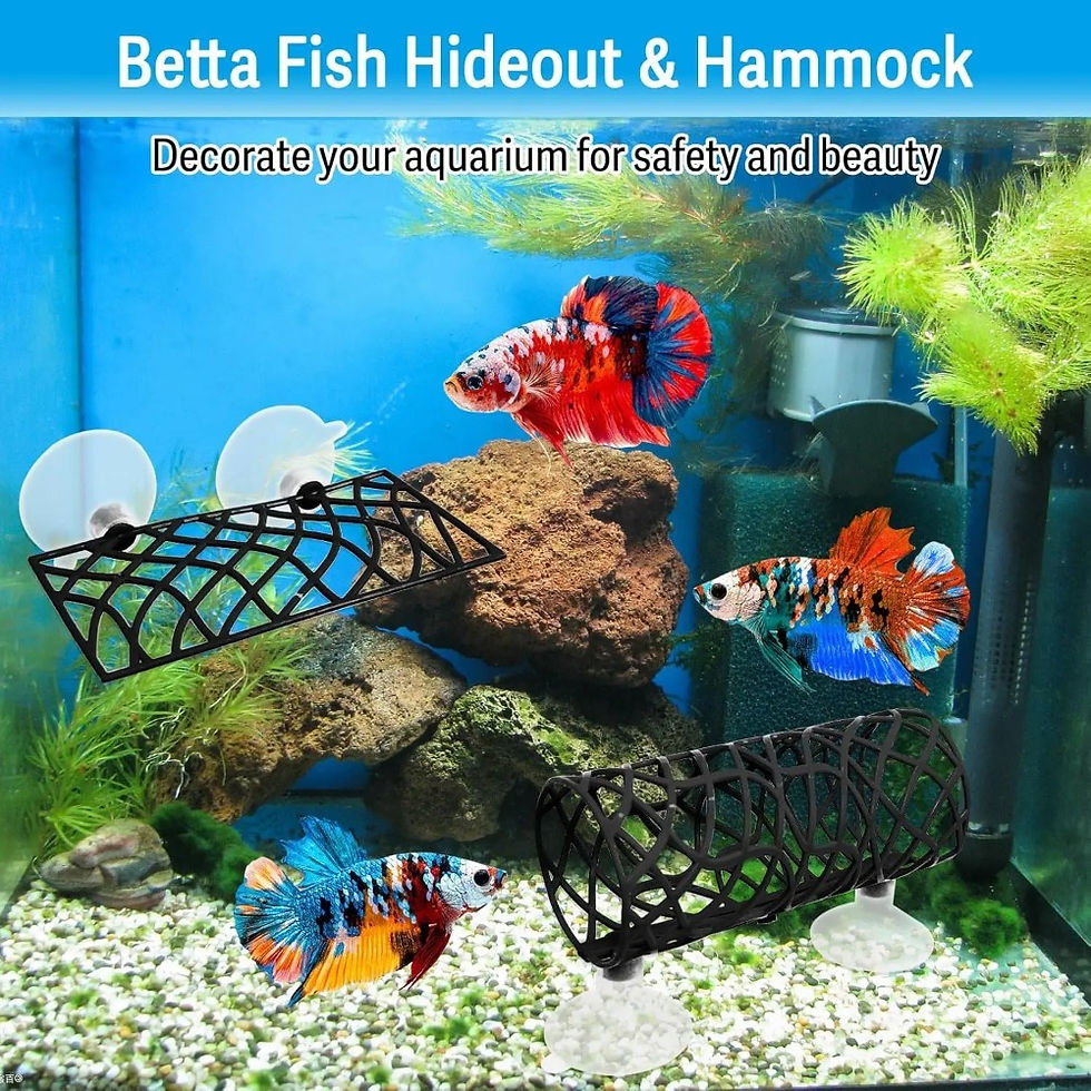Thumbnail: Betta Fish Hideout Cave with Hammock Bed Hollow Tunnel Fish Tank Accessories Aqu
