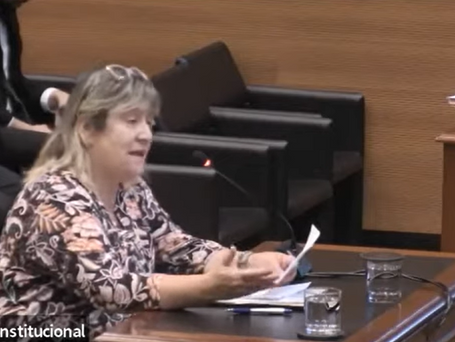 Exposición en el Tribunal Constitucional