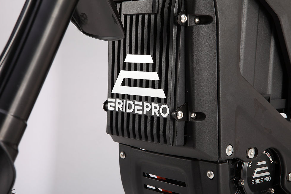 Thumbnail: E Ride Pro SS 2.0