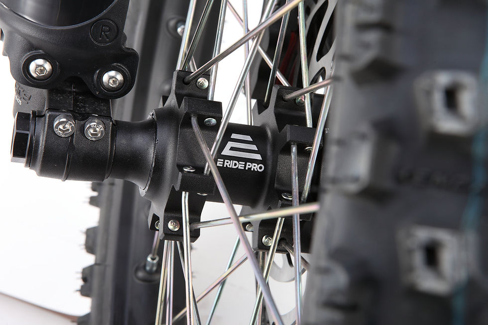 Thumbnail: E Ride Pro SS 2.0