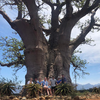 Landela Safaris