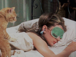 What Your Dreams Are Trying to Tell You