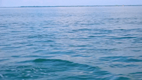 giphy-9.gif