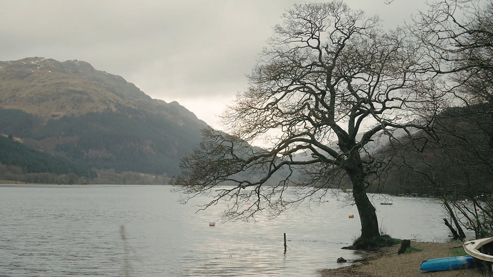 Reflecting in nature can support your positive mindset ( Loch Eck, Argyll)