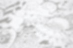 Black%20and%20White%20Illustration_edited.jpg