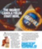 Single Page Magazine Ad
