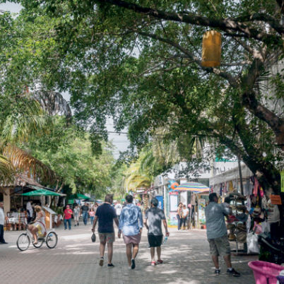 Quinta avenida Playa del Carmen_edited.jpg
