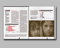Gender Equality & the MDGs booklet