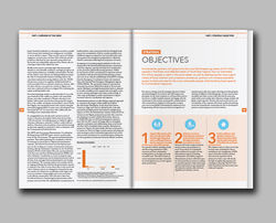 Nigeria Humanitarian Response Plan