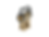 Thumbnail: Evolution Gear Micro T2 Red dot w Unity Fast Micro Mount TAN