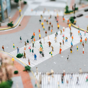 Championing Neurodiversity: Practical Strategies for Inclusive Communities, Education, and Lifelong Support