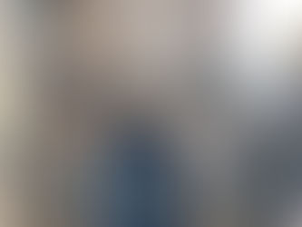 Bird Spike Installation